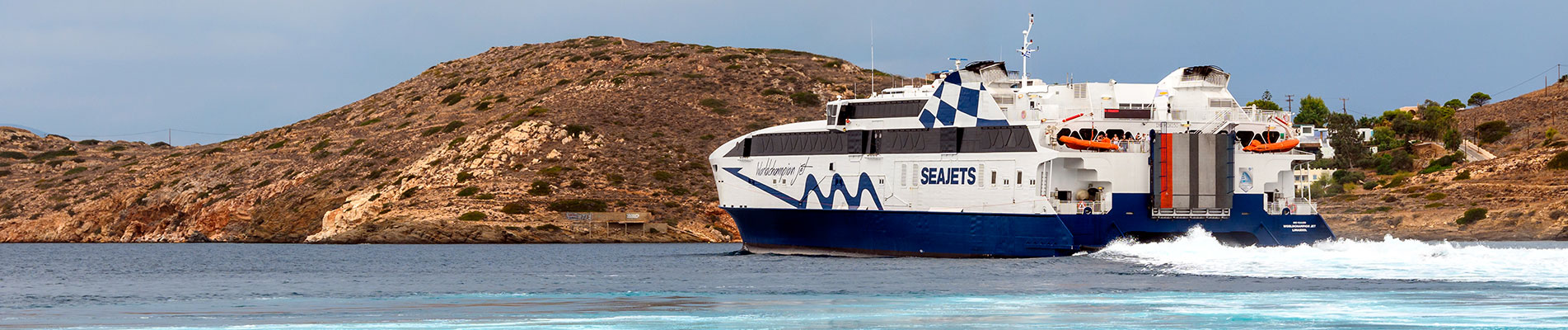 Cavitation protective coatings for propulsion systems